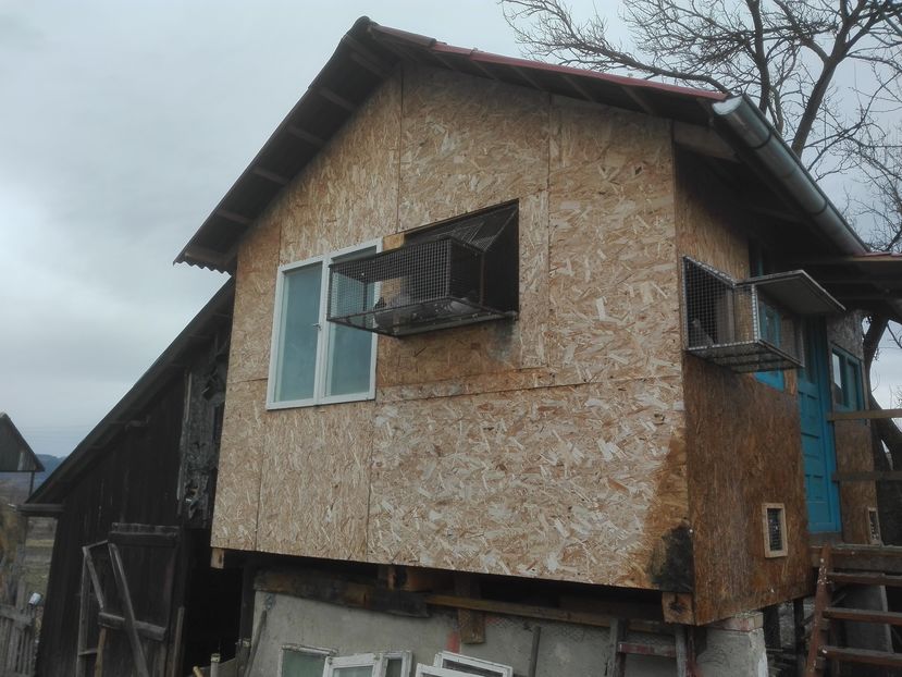 POZE TELEFON HUAWEI 068