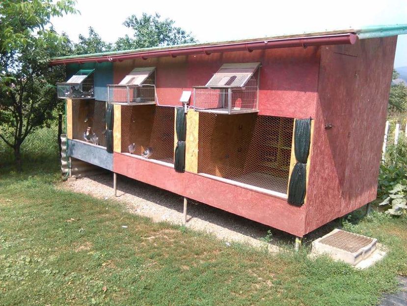 POZE TELEFON HUAWEI 186