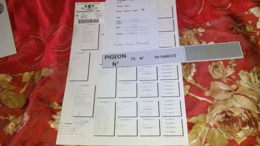 POZE TELEFON HUAWEI 193