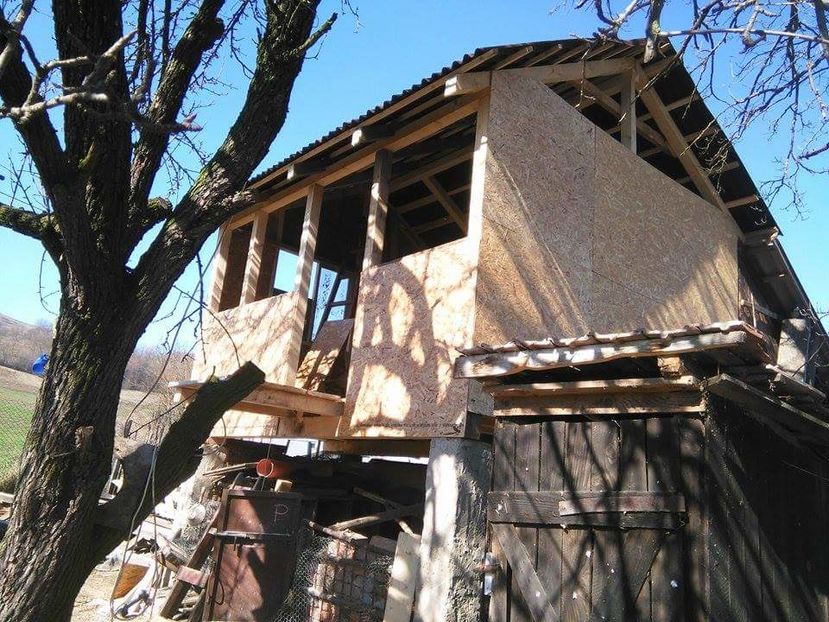 POZE TELEFON HUAWEI 197