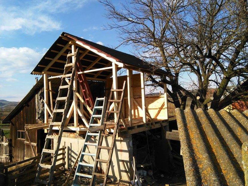 POZE TELEFON HUAWEI 201