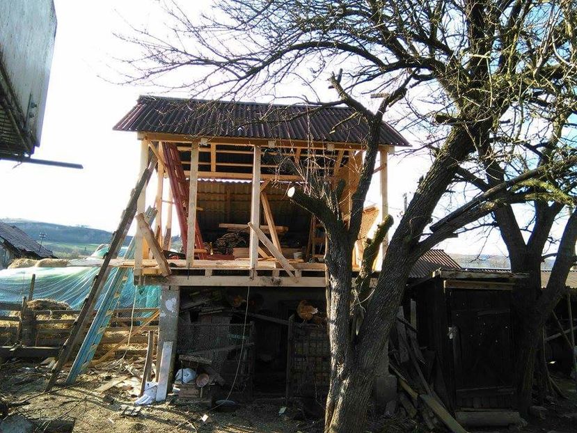 POZE TELEFON HUAWEI 204