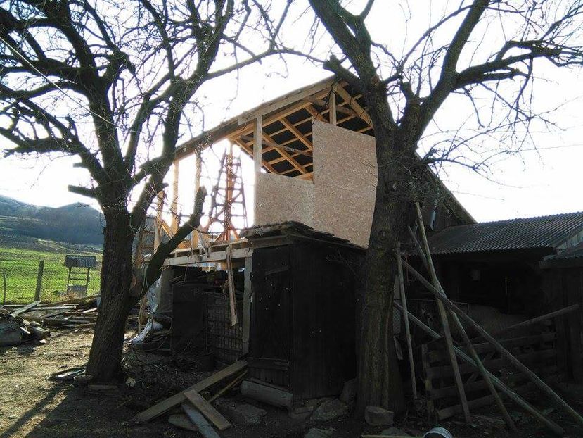 POZE TELEFON HUAWEI 205