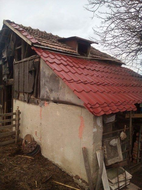 POZE TELEFON HUAWEI 243