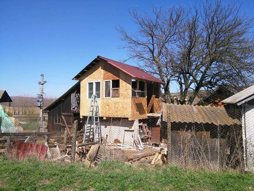 POZE TELEFON HUAWEI 258