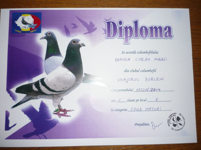 FICA - 0889049/2012