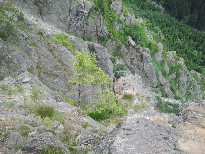 2012-07-08 14.58.18
