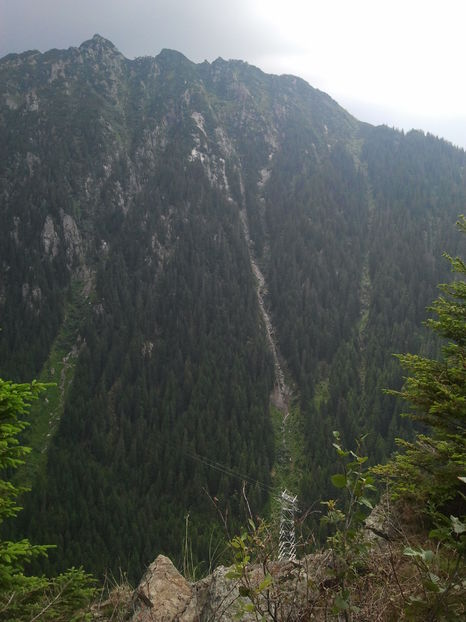 2012-07-08 14.59.49