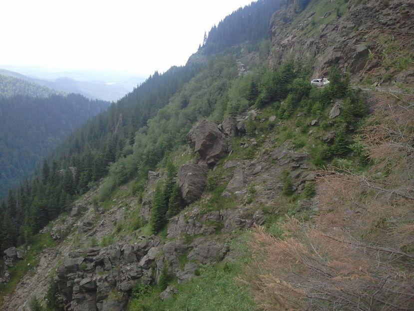 2012-07-08 15.04.19