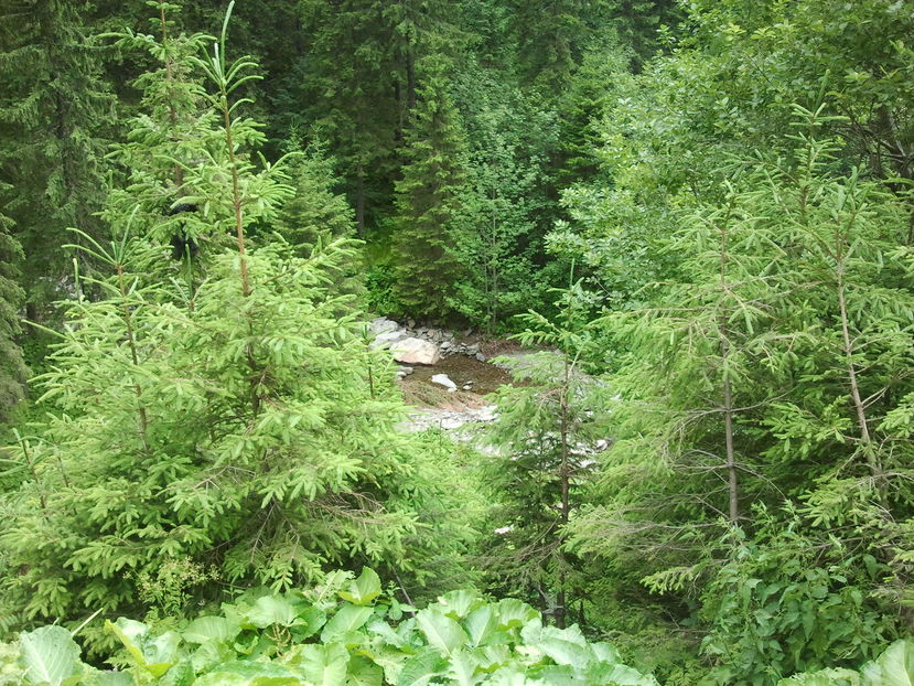 2012-07-08 17.54.05