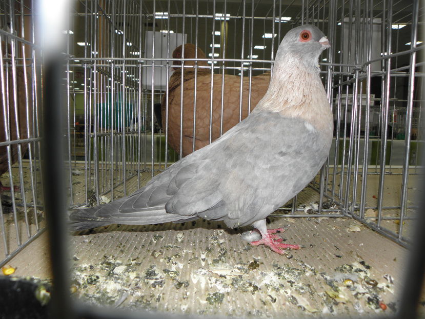 PC110204