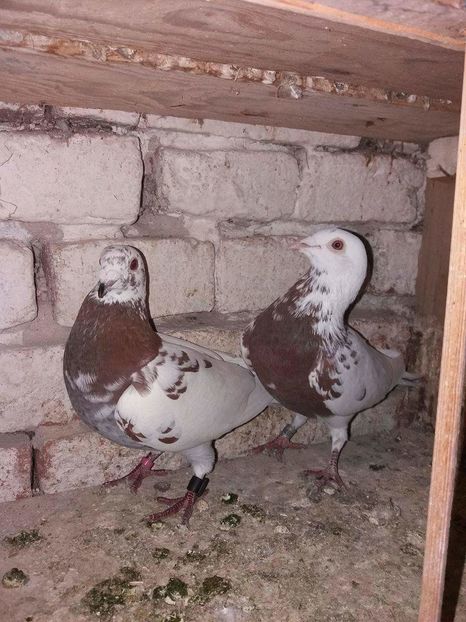 received_437610449743015