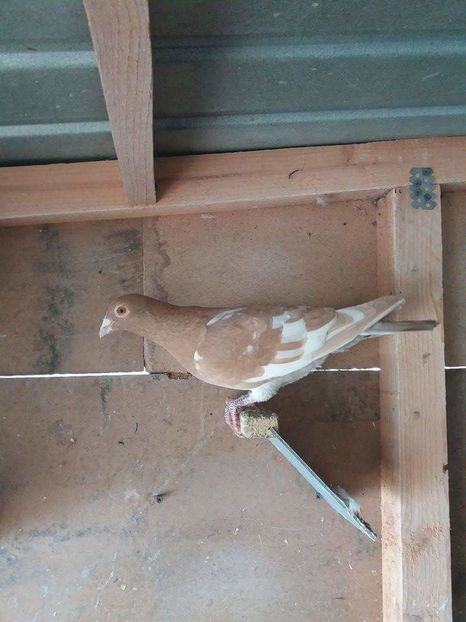 received_440496976121029