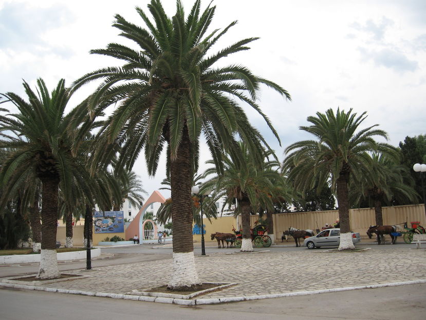 Picture 018 - Tunisia 2009
