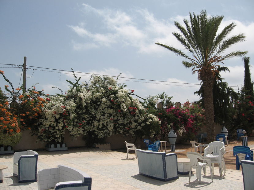 Picture 148 - Tunisia 2009