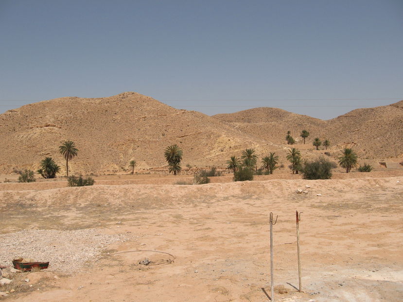 Picture 155 - Tunisia 2009