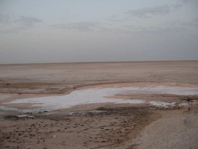 Picture 222 - Tunisia 2009
