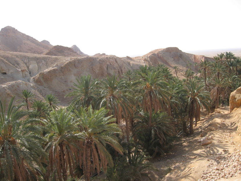 Picture 265 - Tunisia 2009