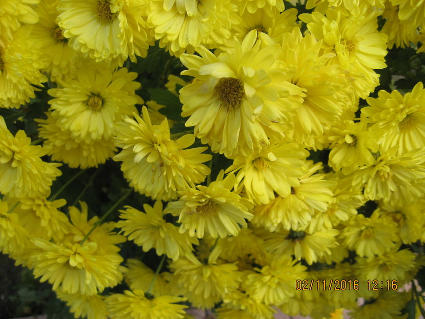 Picture 7534