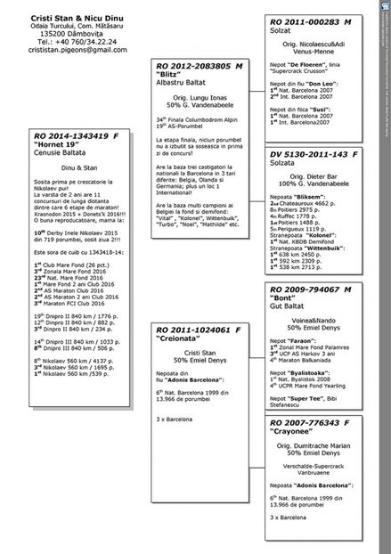 FEMELA PEDIGREE