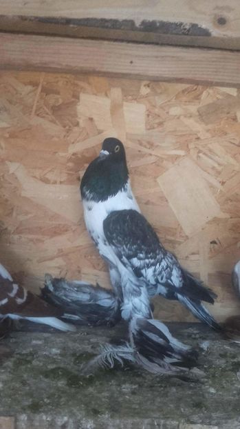 received_1404696359563672