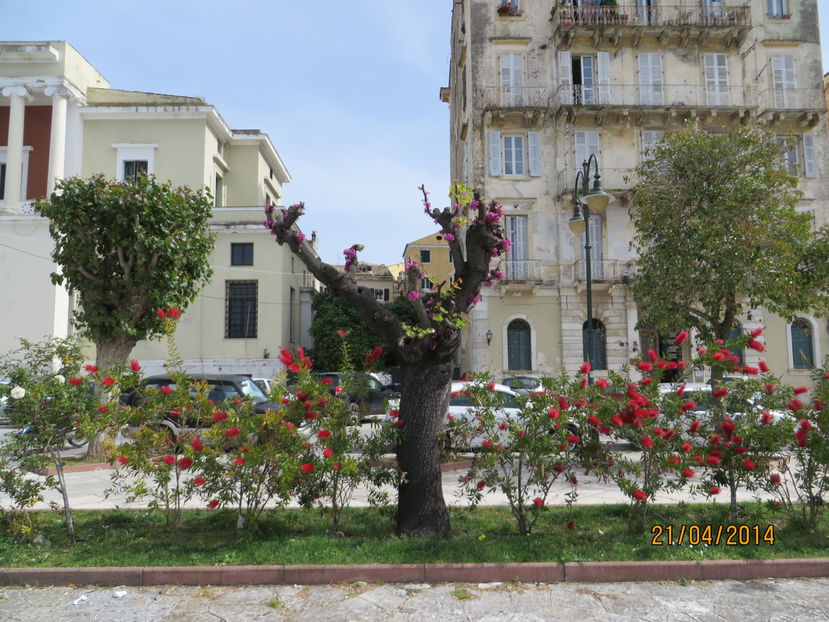  - Corfu 2014