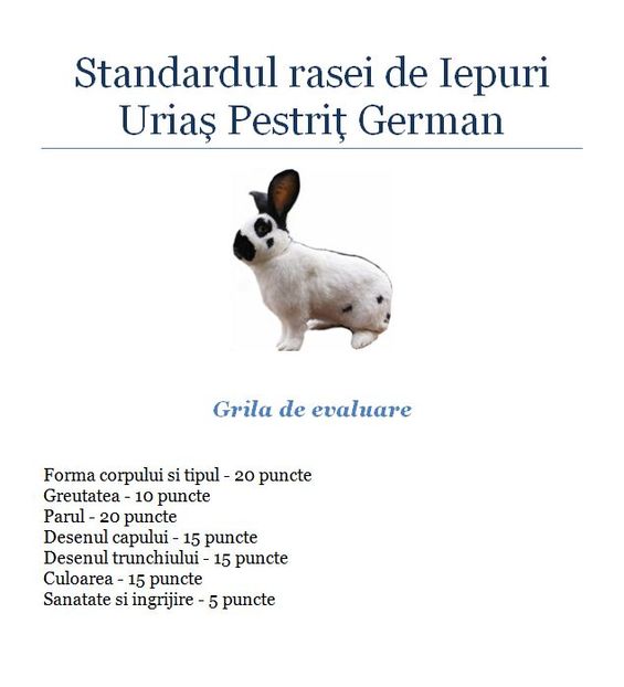 Urias Pestrit german - 0-4 Standard Urias Pestrit German