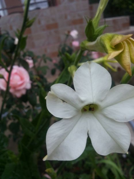 20161019_171039 - Copy