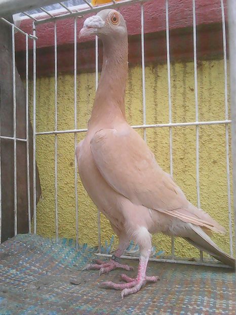 Photo0209
