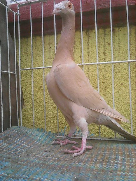 Photo0208