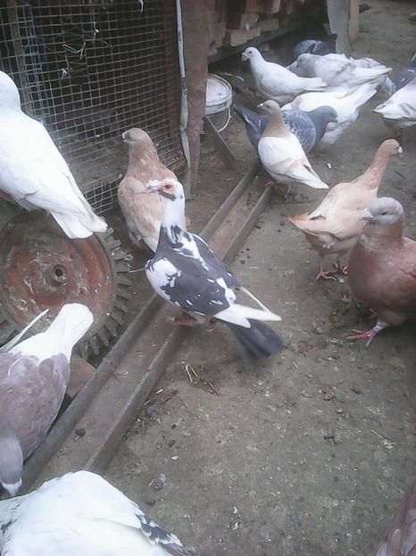 Photo0211