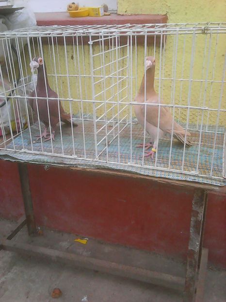 Photo0201