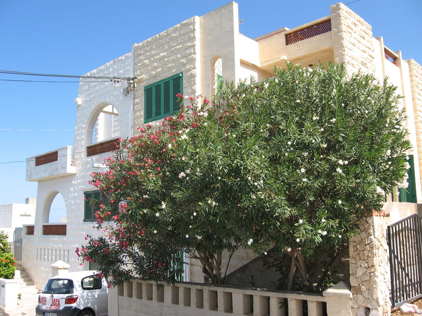  - Malta 2008