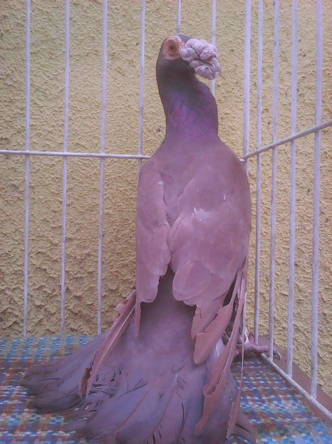 Photo0222