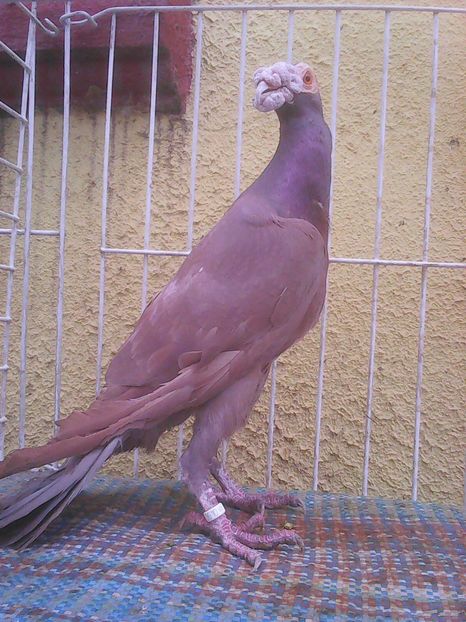 Photo0223