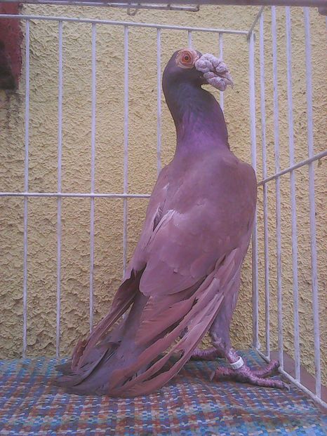 Photo0224