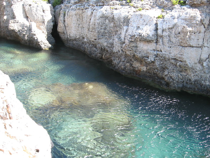 - Malta 2008
