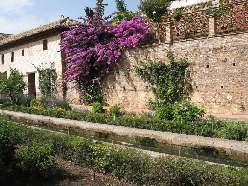  - Spania 2011