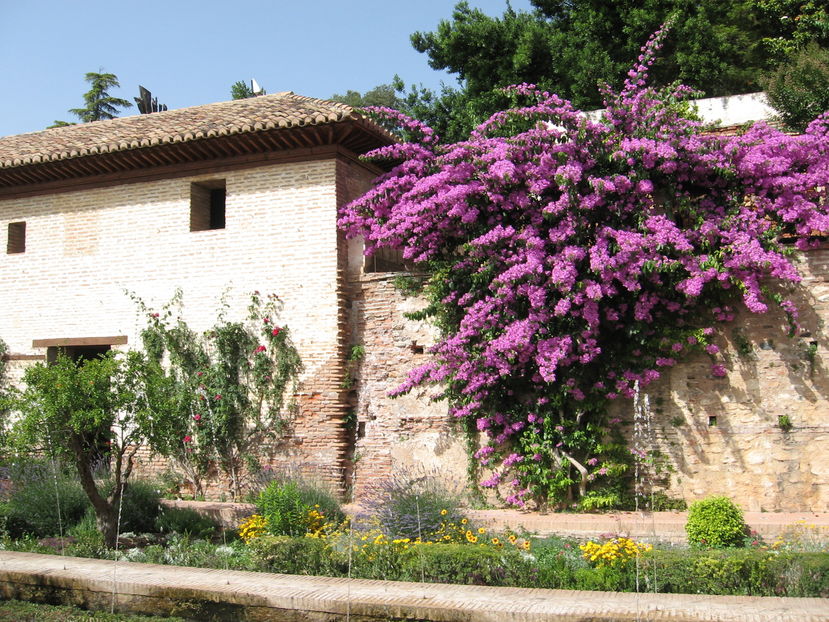  - Spania 2011