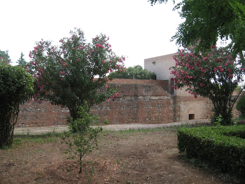  - Spania 2011