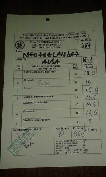 campiona nationala loc II