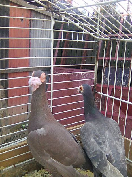 Photo0202