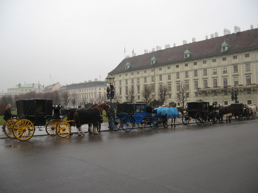  - Craciun la Viena 2011