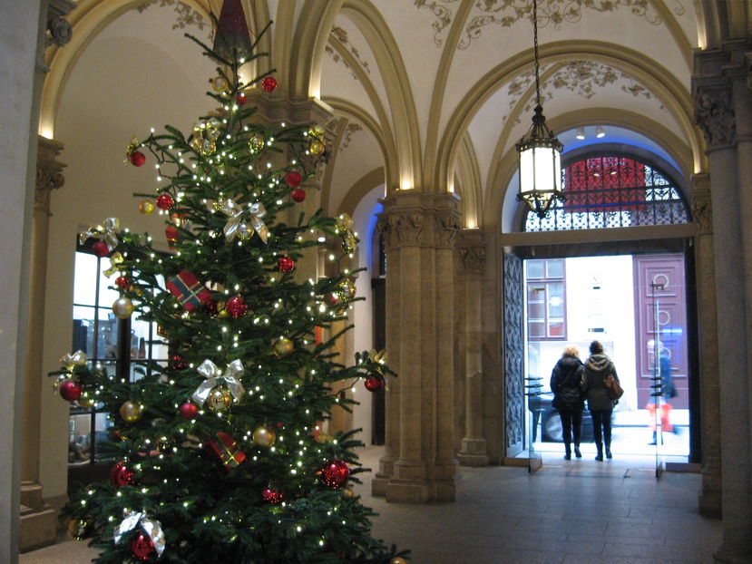  - Craciun la Viena 2011