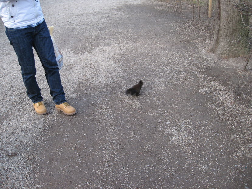  - Craciun la Viena 2011