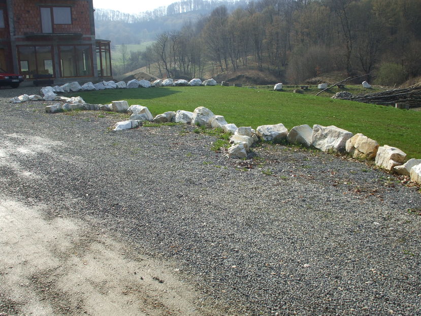 Picture 062