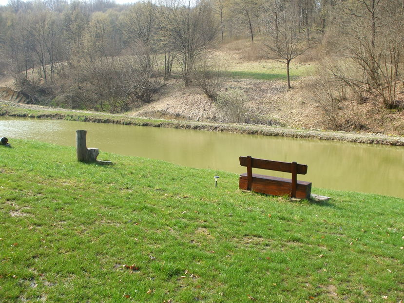 Picture 072