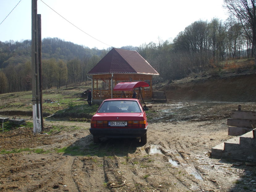 Picture 082