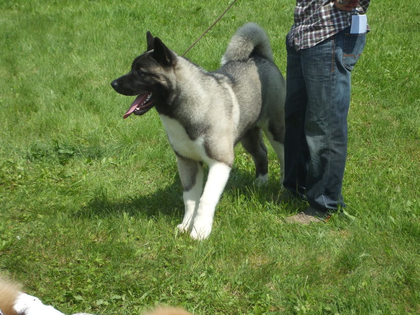Picture 140