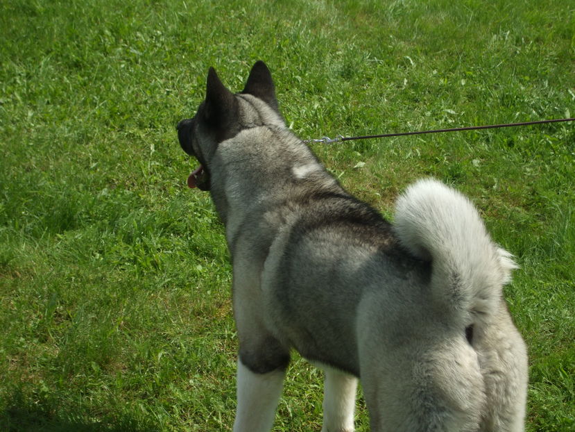 Picture 141